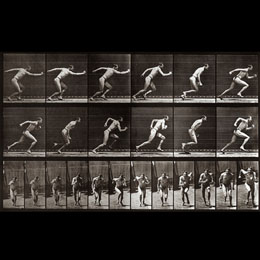 Eadweard Muybridge