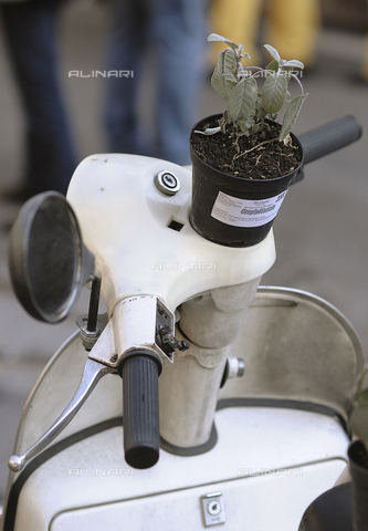 AAE-S-000804-5346 - Week's Friend of the Climate: a plant of sage down on a Vespa, on the occasion of "I love Kyoto" organized by Legambiente - Date of photography: 14/02/2008 - Guido Montani, 2008 / © ANSA / Alinari Archives
