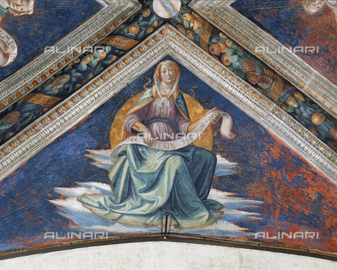 AGC-F-000757-0000 - Wall painting by Domenico Ghirlandaio with one of the four Sibyls decorating the vault of the Sassetti Chapel in Santa Trinita in Florence. The Sibyl, shown seated on clouds, wears Renaissance dress. She holds a scroll and has a shining sun behind her - Date of photography: 1992 - Alinari Archives, Florence