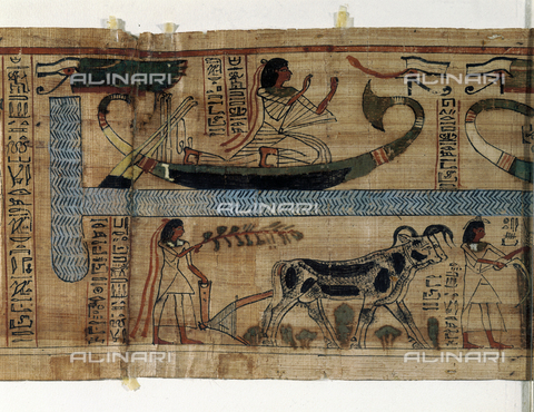 AGC-F-001974-0000 - Particolare del 'Libro dei Morti' del sacerdote Aaner raffigurante scene di agricoltura. Il papiro è conservato nel Museo Egizio di Torino - Data dello scatto: 1995 - Archivi Alinari, Firenze