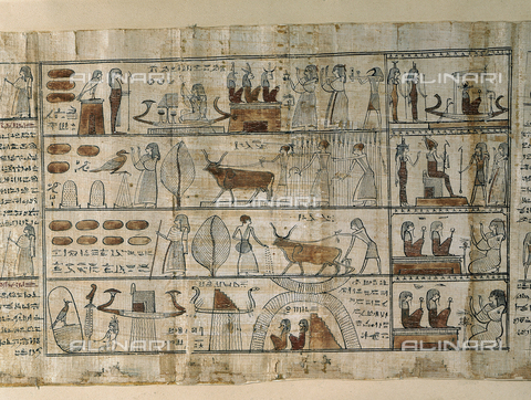 AGC-F-001976-0000 - Particolare dell'antico 'Libro dei Morti di Tsekohns' raffigurante scene di lavori agricoli. Il papiro è conservato presso il Museo Egizio di Torino - Data dello scatto: 1995 - Archivi Alinari, Firenze