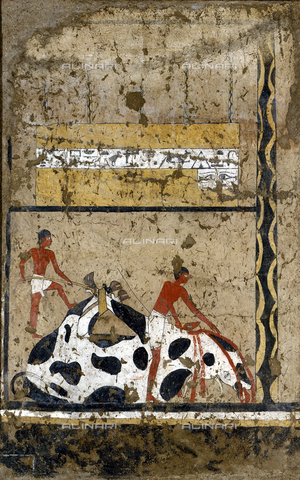 AGC-F-001982-0000 - Dipinto murale di epoca egiziana raffigurante una scena di sacrificio funerario. Il reperto proveniente dalla tomba di Iti è conservato presso il Museo Egizio di Torino - Data dello scatto: 1995 - Archivi Alinari, Firenze
