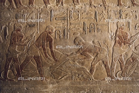 AIS-F-016545-0000 - Mastaba of Ti. EGYPT. Saqqara. Mastaba of Ti. Bull sacrifice. Egyptian art. Old Kingdom. Relief. - Vannini / Iberfoto/Archivi Alinari