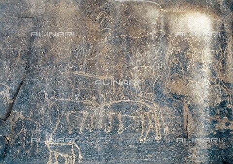 AIS-F-088870-0000 - LIBYA. Tadrart Acacus. Animal herd. Neolithic art. Cave. - Vannini / Iberfoto/Archivi Alinari