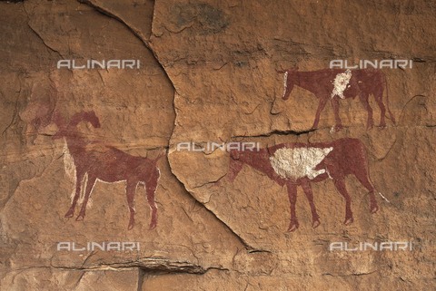 AIS-F-088881-0000 - LIBYA. Tadrart Acacus. Representation of cattle: ram and cows (c.1500 BC). Neolithic art. Cave. - Vannini / Iberfoto/Archivi Alinari