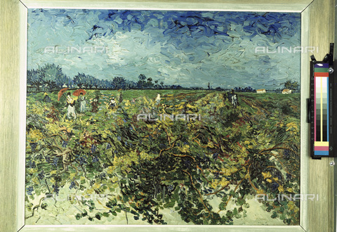 ATK-F-005839-0000 - Vigneti; dipinto di Vincent van Gogh; Otterlo, Museum Krà¶ller-Mà¼ller - Joachim Blauel / Artothek/Archivi Alinari