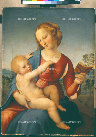 ATK-F-007511-0000 - Madonna con Bambino (Madonna Colonna), 1508, Raffaello Sanzio, Berlino, Gemà¤ldegalerie - Joachim Blauel / Artothek/Archivi Alinari
