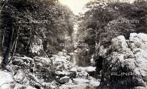 AVQ-A-000223-0102 - Enchanting view of the Ravine of the Fairies at Betws-Y-Coed, in Wales - Date of photography: 1870-1888 ca. - Alinari Archives, Florence