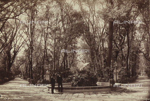 AVQ-A-000480-0007 - Chapultepec park in Mexico City - Date of photography: 06/02/1896 - Alinari Archives, Florence
