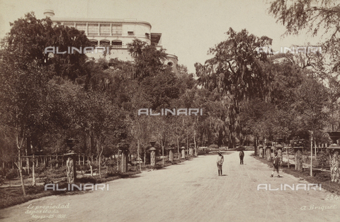 AVQ-A-000480-0019 - Chapultepec Park in Mexico City - Date of photography: 25/03/1896 - Alinari Archives, Florence