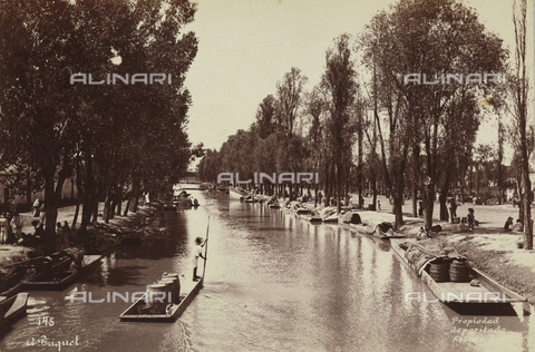 AVQ-A-000480-0024 - Viga Canal, Mexico - Date of photography: 06/02/1896 - Alinari Archives, Florence