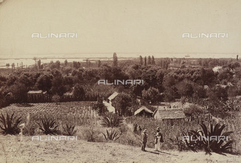 AVQ-A-000480-0027 - Lake Chalco, as the village in Mexico Ayotla - Date of photography: 06/02/1896 - Alinari Archives, Florence