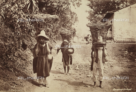 AVQ-A-000480-0041 - Mexican charcoal children of a village near Orizaba in the State of Vera Cruz - Date of photography: 1896 - Alinari Archives, Florence