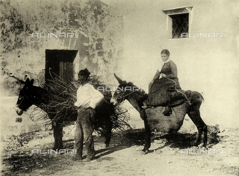 AVQ-A-000548-0015 - A couple of Sicilian farmers with two donkeys loaded with bundles of wood, Palermo - Date of photography: 1890 ca. - Alinari Archives, Florence