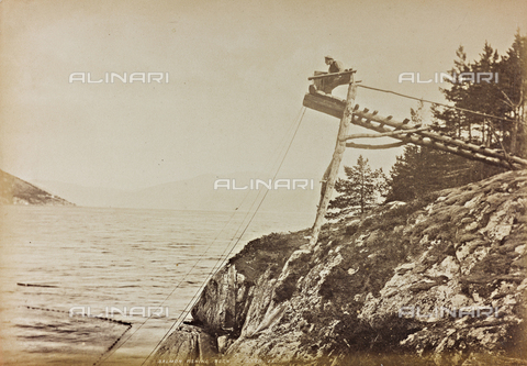 AVQ-A-000630-0014 - Salmon Fishing, Norway - Date of photography: 1890 ca. - Alinari Archives, Florence
