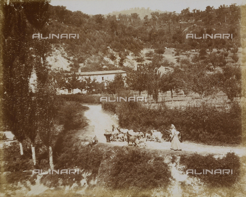 AVQ-A-000921-0019 - Country landscape in Valtopina, Umbria - Date of photography: 1899 - Gabba Raccolta Acquisto / Alinari Archives, Florence