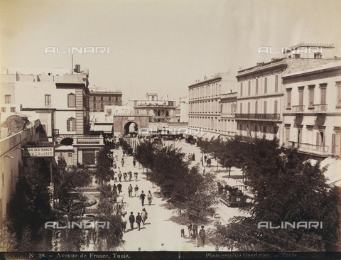 AVQ-A-000946-0038 - Avenue de France in Tunisia - Date of photography: 1850-1900 - Alinari Archives, Florence