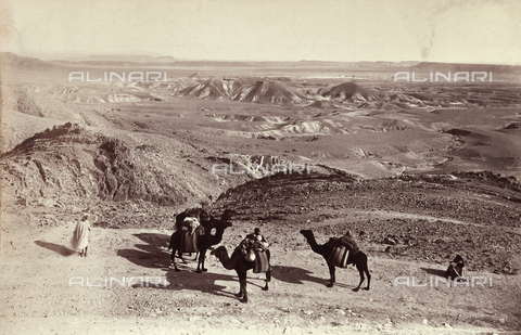 AVQ-A-000946-0068 - Beduini con i cammelli nei pressi di Biskra - Data dello scatto: 1850-1900 - Archivi Alinari, Firenze
