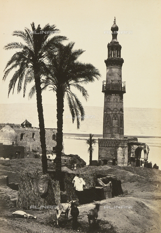 AVQ-A-001437-0026 - "Egypt and Palestine": view of Girgeh, Upper Egypt - Date of photography: 1857 - Alinari Archives, Florence