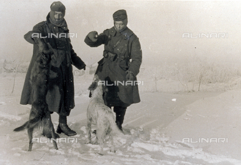 AVQ-A-001479-0038 - Two Italian military play with a pair of dogs in a snowy area, during the offensive caompaign in Russia, 1942-1943. - Date of photography: 00/02/1943 - Alinari Archives, Florence