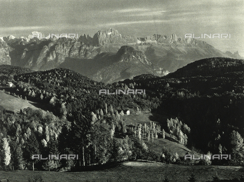 AVQ-A-001889-0008 - Autumn on the Renon plateau, Bolzano - Date of photography: 1925-1930 ca. - Alinari Archives, Florence