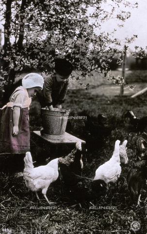 AVQ-A-002062-0072 - A couple of children dressed as peasants busy distributing chickenfeed to a bunch of hens - Date of photography: 1909 ca. - Alinari Archives, Florence