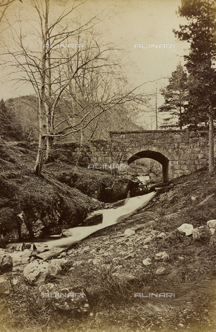 AVQ-A-002803-0026 - Album "Voyage en Ecosse Septembre 1880": Moneds Waterfalls in Aberfeldy, Scotland - Date of photography: 21/09/1880 - Alinari Archives, Florence
