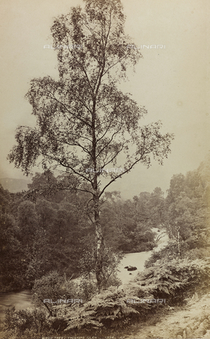 AVQ-A-002803-0046 - Album " Voyage en Ecosse Septembre 1880 ": River in the valley of the Trossachs in Scotland - Date of photography: 29/09/1880 - Alinari Archives, Florence