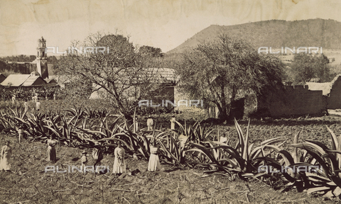 AVQ-A-003434-0024 - Mexican village - Date of photography: 1880-1890 ca. - Alinari Archives, Florence