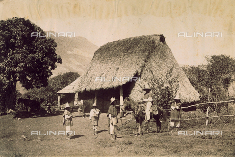 AVQ-A-003434-0030 - Hut in the state of Veracruz - Date of photography: 1880-1890 ca. - Alinari Archives, Florence