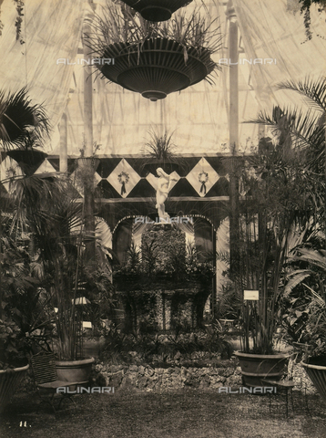 AVQ-A-003967-0007 - "Esposizione italiana of 1861": some plants inside the flower greenhouse - Date of photography: 1861 - Alinari Archives, Florence