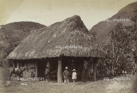 AVQ-A-004052-0074 - A hut in Mexico - Date of photography: 1890 ca. - Alinari Archives, Florence