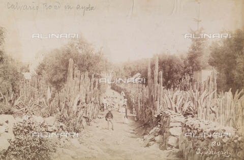 AVQ-A-004052-0092 - The "road to Calvary" in Ayotla, Mexico - Date of photography: 1890 ca. - Alinari Archives, Florence