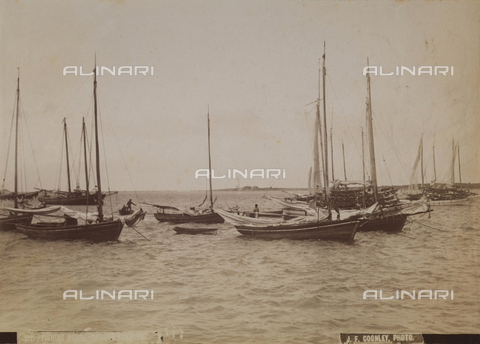 AVQ-A-004053-0002 - 'Antilles': fishing boats moored in the port of Nassau - Date of photography: 1900 ca. - Alinari Archives, Florence