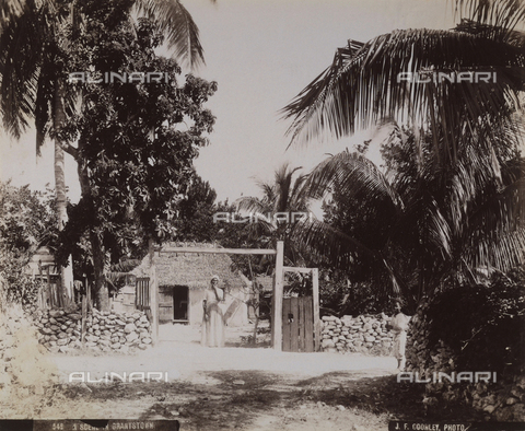 AVQ-A-004053-0004 - 'Antilles': village of Grantstown - Date of photography: 1900 ca. - Alinari Archives, Florence