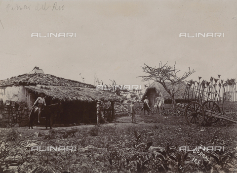 AVQ-A-004053-0101 - 'Antilles': farmers of Pinar del Rio - Date of photography: 1910-1920 ca. - Alinari Archives, Florence