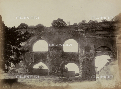 Catalogo Immagini Archivio Fotografico Fratelli Alinari Alinari