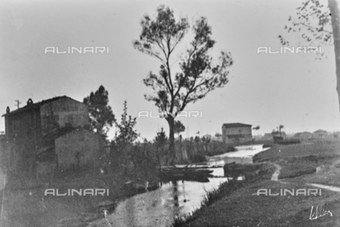 AVQ-A-004294-0021 - "Padule in the evening" - Date of photography: 1900-1910 - Alinari Archives, Florence