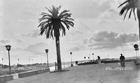 AVQ-A-004294-0023 - Pier of Viareggio - Date of photography: 1900-1910 - Alinari Archives, Florence
