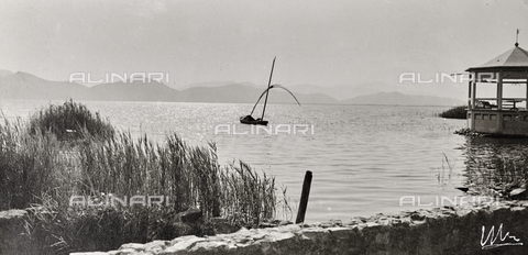 AVQ-A-004294-0065 - View of the lake of Massaciuccoli - Date of photography: 1910-1920 - Alinari Archives, Florence