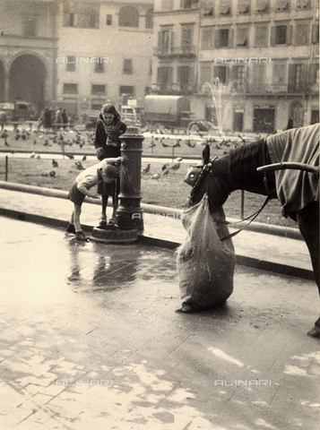 BBA-F-004737-0000 - "In the piazza, trying and trying again". Segment of Santa Maria Novella Square: two children are drinking from the fountain, nearby there is a horse eating from a feed bag. In the background one can see the palaces and the loggia of the old San Paolo hospital. - Date of photography: 1950 ca. - Alinari Archives, Florence