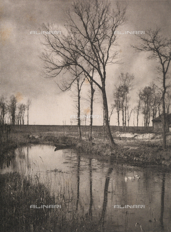 BFB-S-008961-0025 - "November" - Date of photography: 1896 - Alinari Archives, Florence