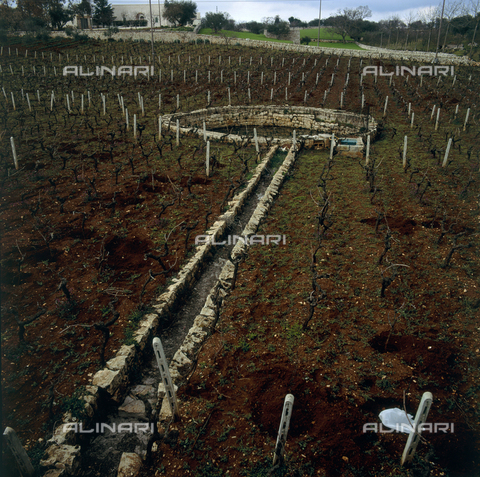CAL-F-010656-0000 - Grande pozzo in Puglia, circondato da campi coltivati - Data dello scatto: 2002 - Archivi Alinari, Firenze