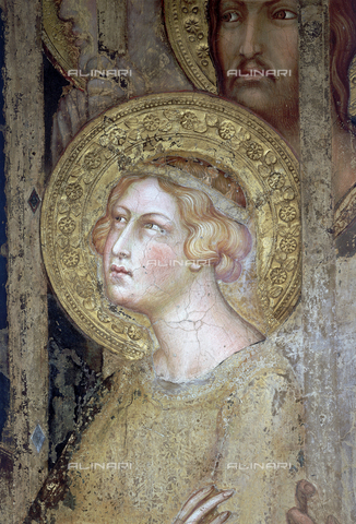 CAL-F-AP0199-0000 - Simone Martini (1284-1344), particolare raffigurante una Santa della "Maestà", 1315-1321, affresco, Sala del Mappamondo, Palazzo Pubblico, Siena - Data dello scatto: 1990 - Archivi Alinari, Firenze
