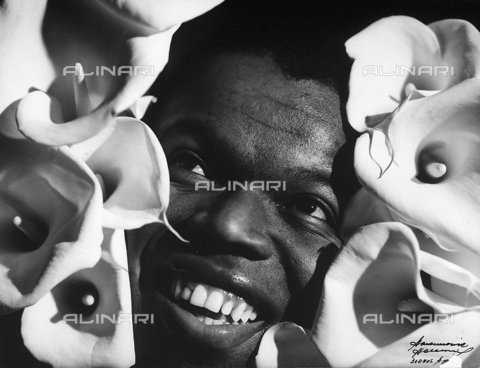 DPA-F-000478-0000 - "Orquestciòn". The smiling face of a young colored man surrounded by calla lillies. - Date of photography: 1940 ca. - Alinari Archives, Florence