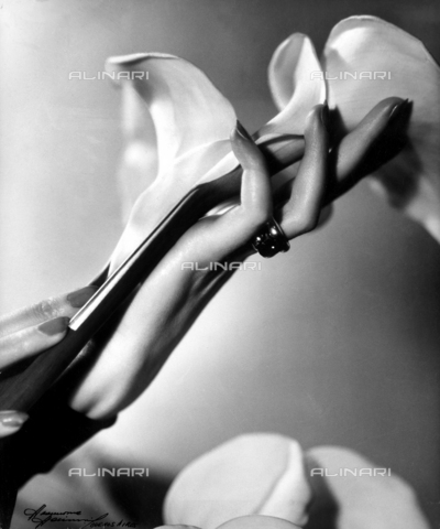 DPA-F-000500-0000 - "Sinfonia": a woman's hands holding calla lillies - Date of photography: 1940 ca. - Alinari Archives, Florence