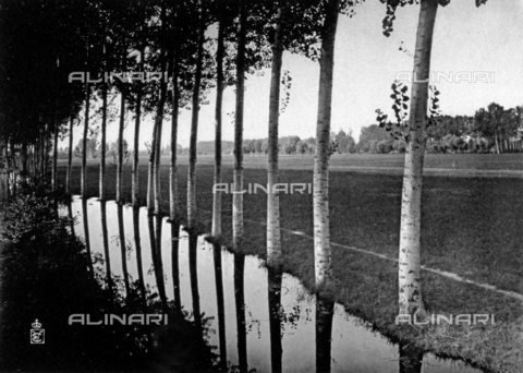 FBQ-A-006147-0003 - Scorcio del grandioso Parco Reale a Racconigi - Data dello scatto: 1911 ca. - Archivi Alinari, Firenze