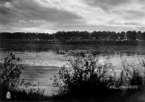 FBQ-A-006147-0005 - Veduta della foce dell'Arno nei pressi di Pisa - Data dello scatto: 1911 ca. - Archivi Alinari, Firenze