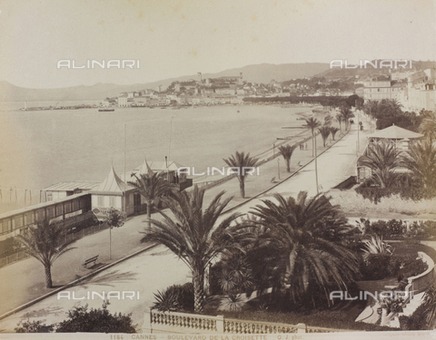 FBQ-A-006182-0050 - Boulevard de la Croisette in Cannes - Date of photography: 1880 ca. - Alinari Archives, Florence