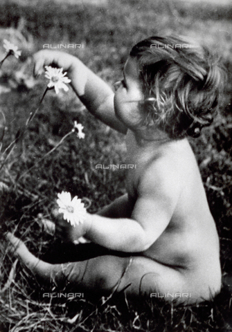 FBQ-F-000431-0000 - Portrait of a nude little girl, seated in a meadow, playing with daisies - Date of photography: 1930 - 1950 - Alinari Archives, Florence